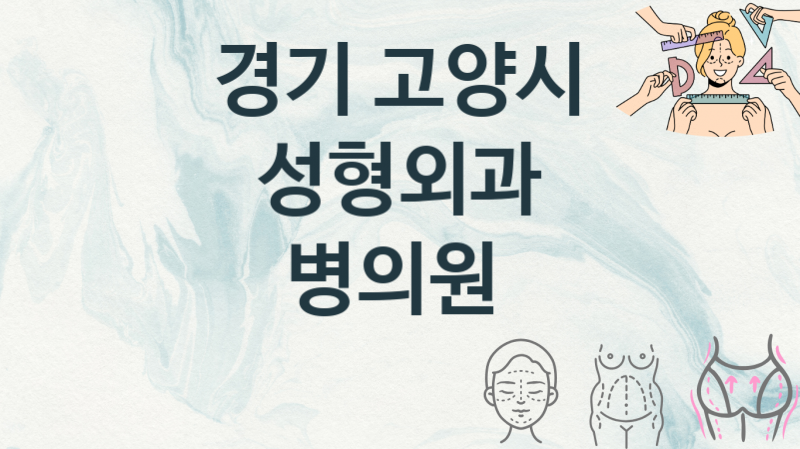 경기 고양시 추천하는 성형외과