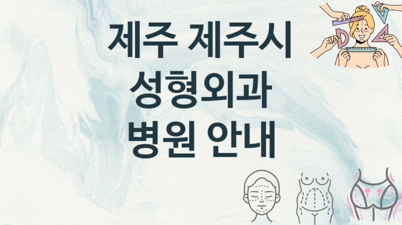 제주 제주시 성형외과병원