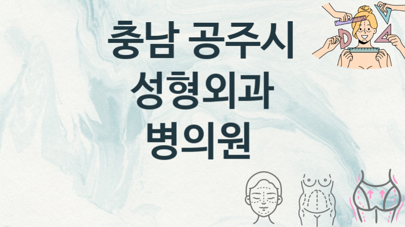 충남 공주시 성형외과병의원 추천