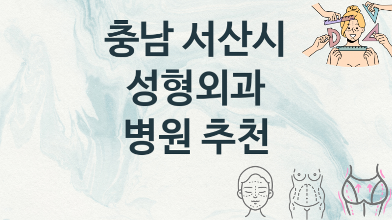 충남 서산시 추천 성형외과