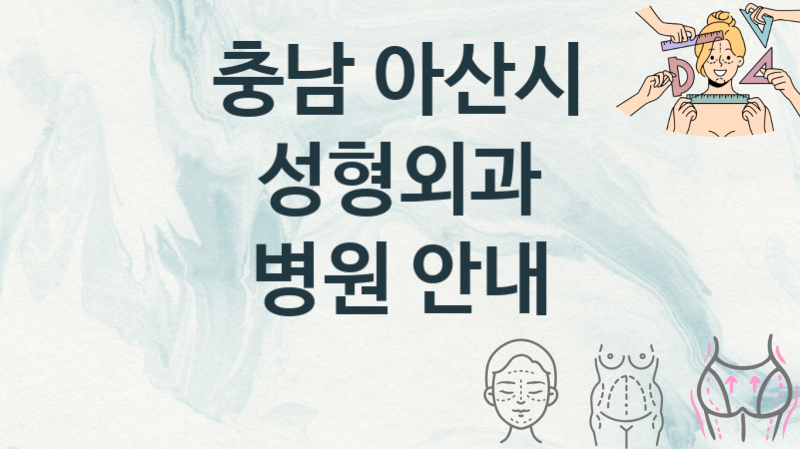 충남 아산시 성형외과병원