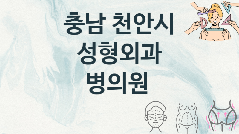 충남 천안시 성형외과병원 안내