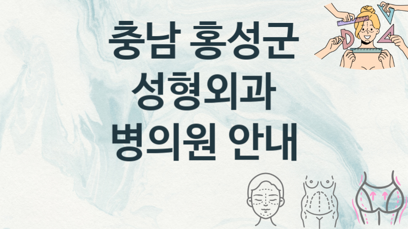 충남 홍성군 성형외과병원 추천