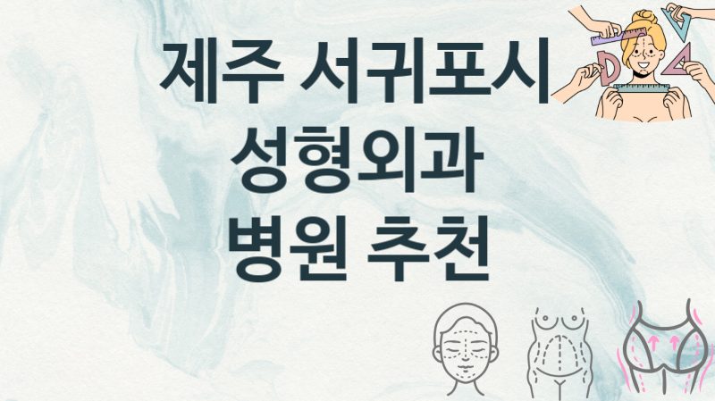 제주 서귀포시 추천하는 성형외과 병의원