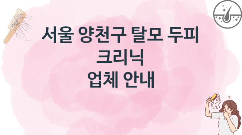 서울 양천구 탈모 두피 크리닉병의원 가격비용