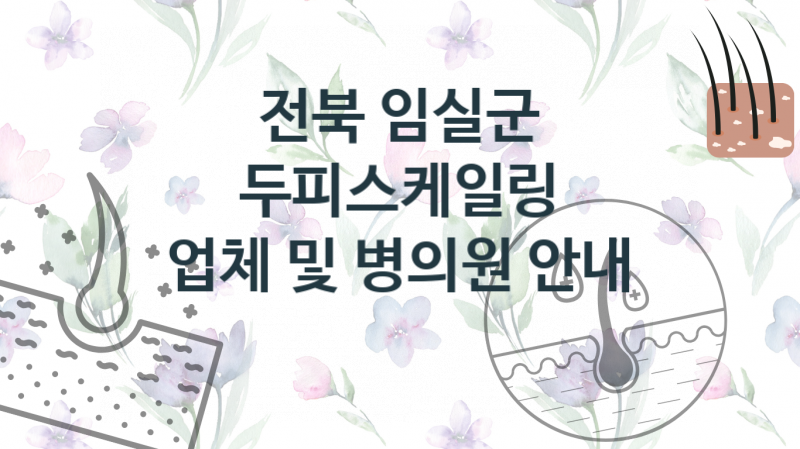 전북 임실군 두피스케일링, 업체 비용 안내