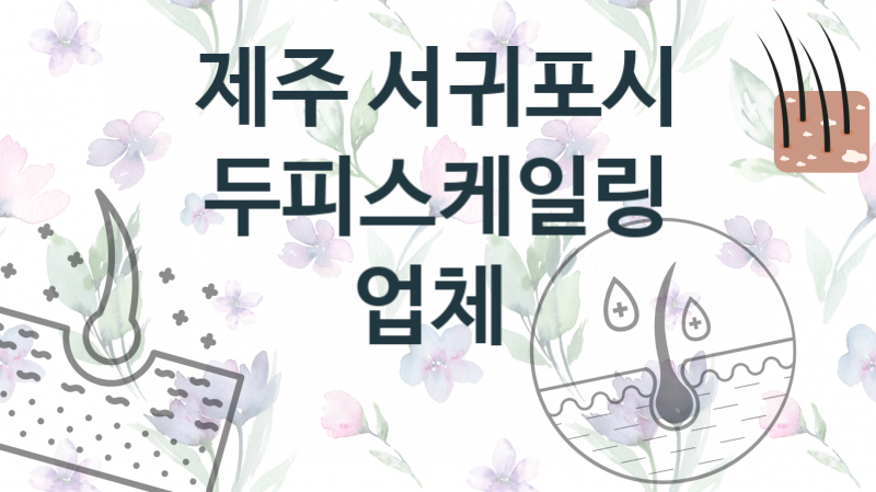 제주 서귀포시  두피스케일링 업소