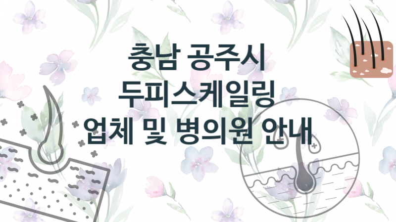 충남 공주시 추천 두피스케일링 업체