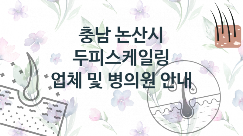 충남 논산시 두피스케일링, 업소 및 병원 비용 추천