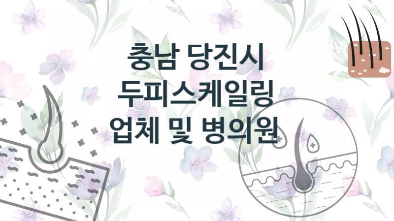 충남 당진시 두피스케일링, 업체 가격