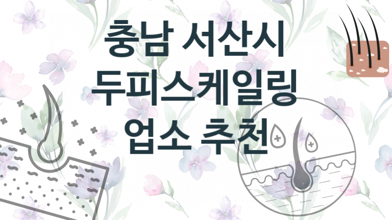 충남 서산시 추천 두피스케일링 업체