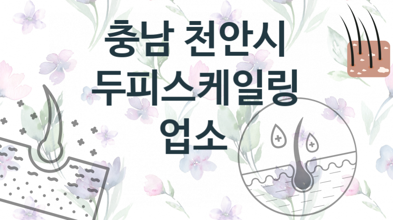 충남 천안시 두피스케일링, 병원 및 업체  안내