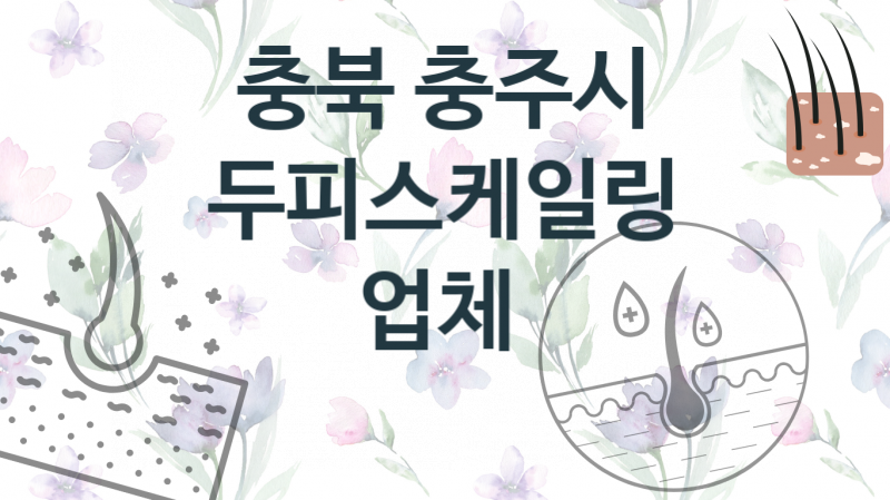 충북 충주시 두피스케일링, 업체 비용