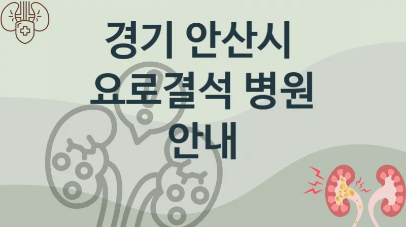 경기 안산시 요로결석 치료병원