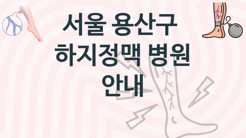 서울 용산구 추천하는 하지정맥 병원