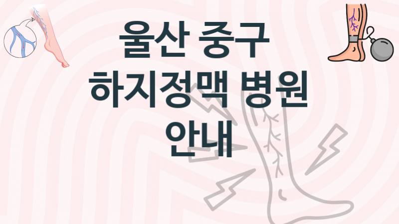 울산 중구 추천 하지정맥 병의원