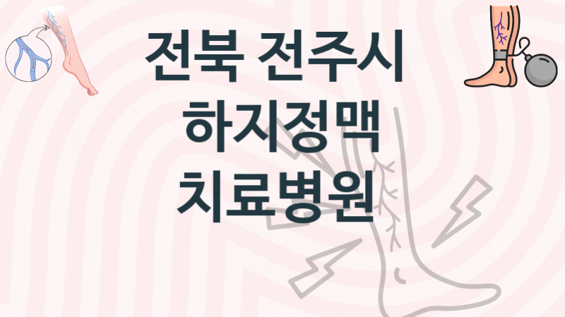 전북 전주시  하지정맥 치료병원