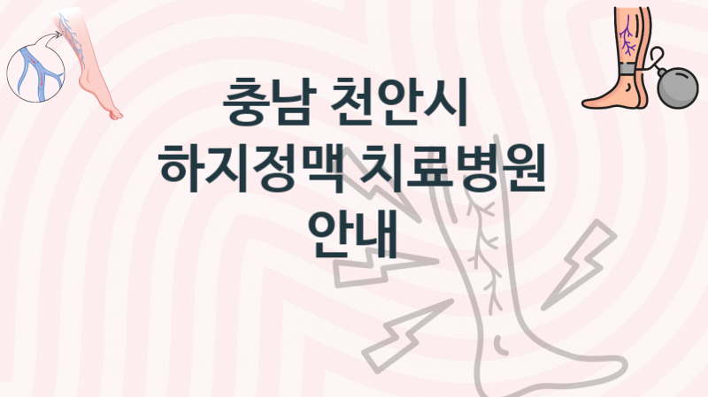 충남 천안시  하지정맥 치료병원