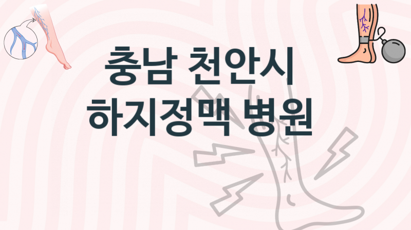 충남 천안시  하지정맥 치료병원