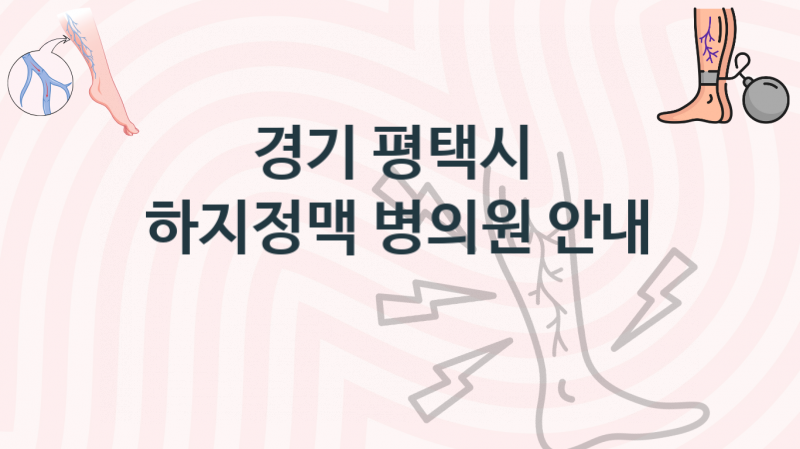 경기 평택시  하지정맥 병의원