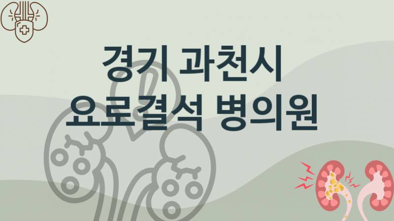 경기 과천시 요로결석, 병의원, 예방 치료비용 안내