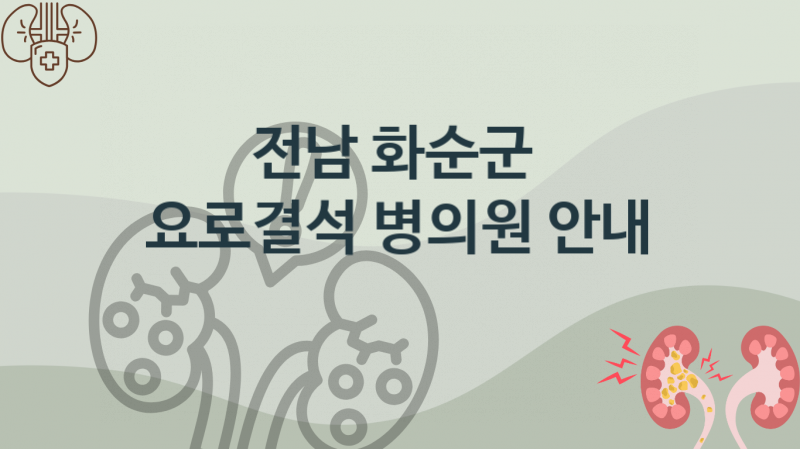 전남 화순군 요로결석, 병의원, 예방 치료비용