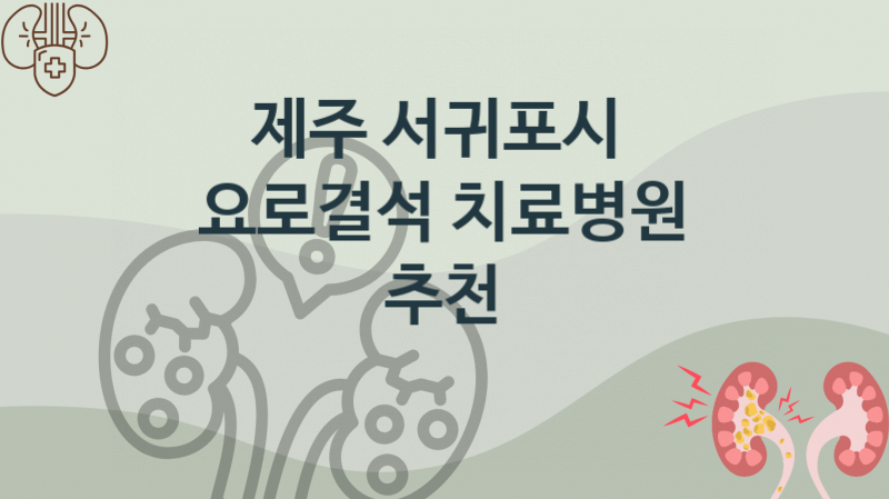 제주 서귀포시 추천 요로결석 병의원