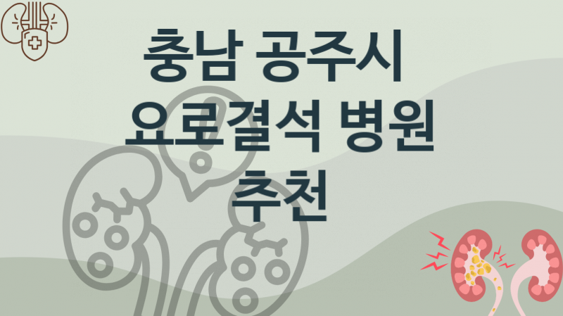 충남 공주시 요로결석, 치료병원, 예방 치료비용 추천