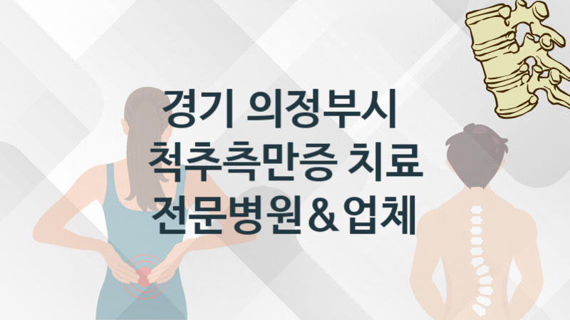 경기 의정부시 척추측만증 업체 및 병원 추천 관리 및 치료비용