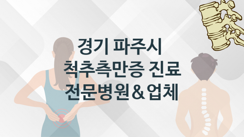 경기 파주시 척추측만증 업체 및 병원 소개 진료비용 및 관리