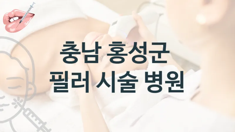 충남 홍성군 필러 관리 시술 병원 추천
