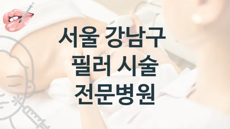 서울 강남구 필러 시술 관리 병원 소개