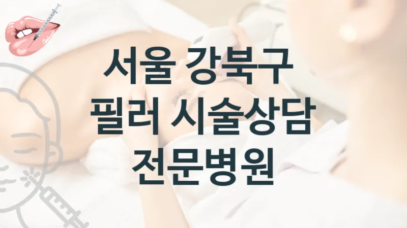 서울 강북구 필러 시술 진료 병원 안내 시술 관리 견적 및 상담