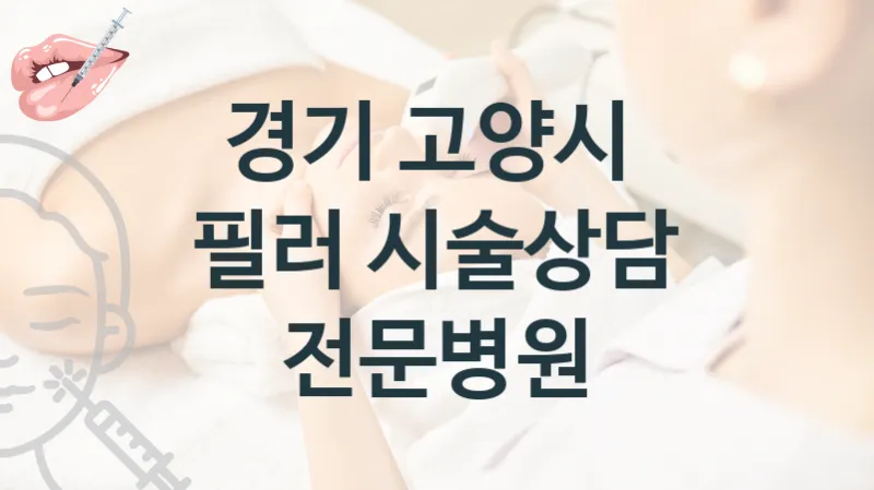 고양시 필러 시술 병원 추천 시술관리 비용