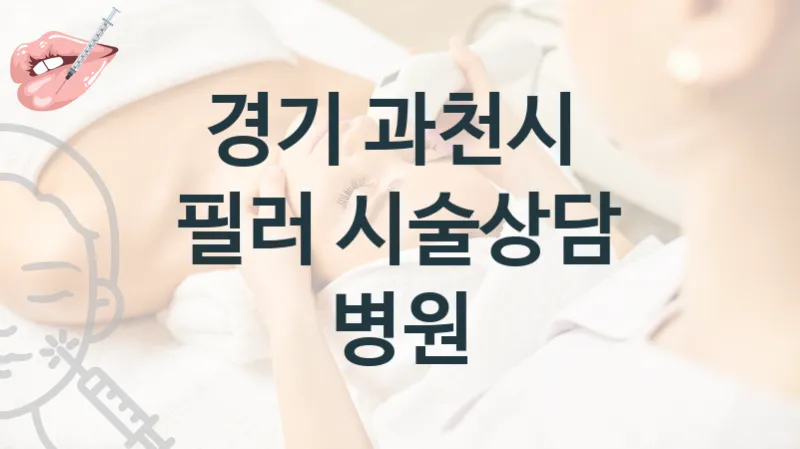 경기 과천시 필러 시술 관리 병원 안내
