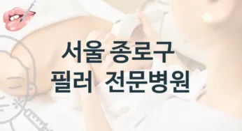 서울 종로구 필러 시술 상담 병원 추천