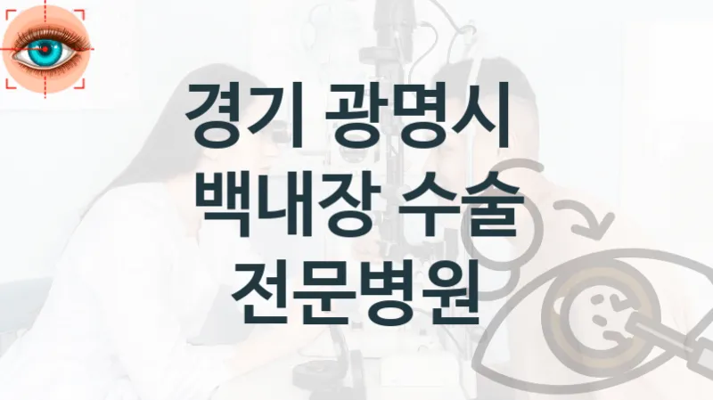 경기 광명시 백내장 치료관리 및 진료 수술 상담 병원 소개 비용 및 실손적용여부