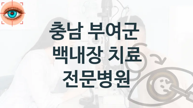 충남 부여군 백내장 수술상담 관리 병원 안내