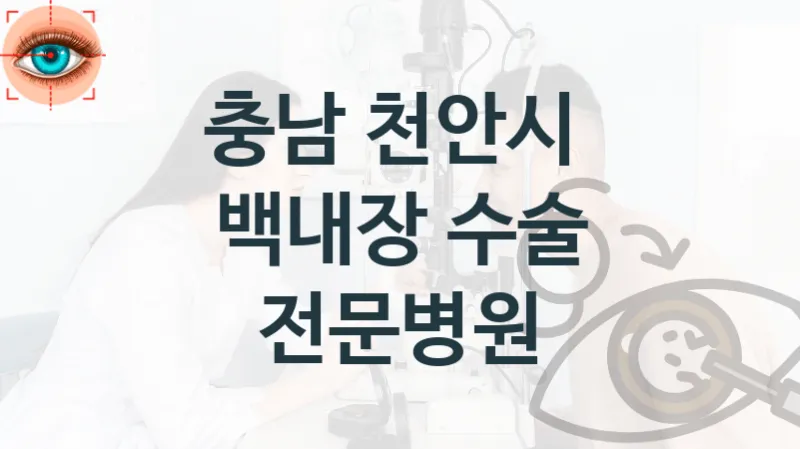 천안시 백내장 수술 병원 추천 – 수술관리, 진료상담