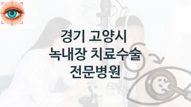 경기 고양시 녹내장 치료 진료 병원 안내 수술견적 및 비용