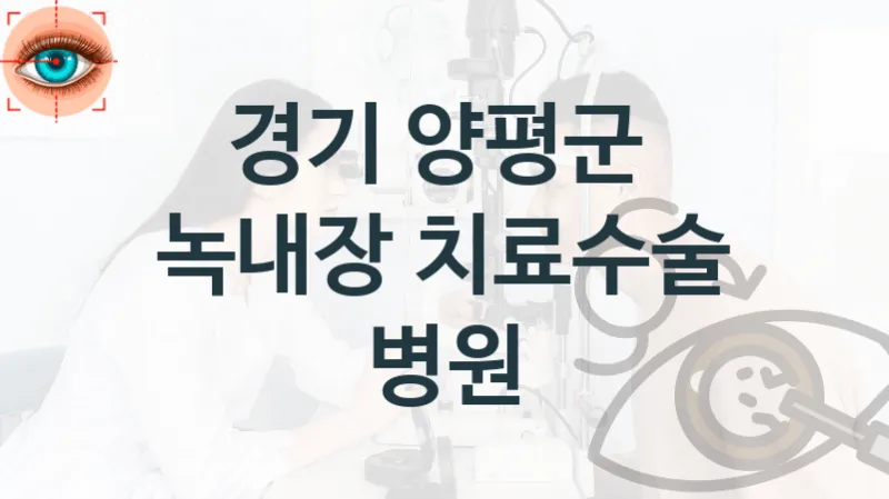 경기 양평군 녹내장 수술 관리 병원 안내