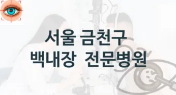 서울 금천구 백내장 수술상담 병원 추천 수술견적 및 비용