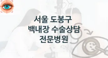 서울 도봉구 백내장 치료관리 및 진료 수술 상담 병원 안내 수술 관리 비용 및 실손적용여부