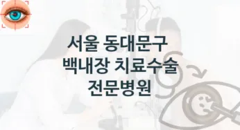 서울 동대문구 백내장 치료 진료 병원 추천 치료관리 및 수술비용