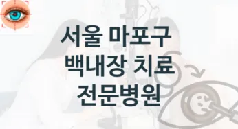 마포구 백내장 수술 상담 병원 안내 – 수술비용 및 보험적용여부