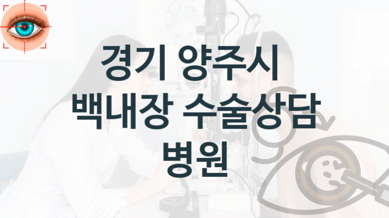 경기 양주시 백내장 치료관리 및 진료 수술 상담 병원 소개 비용 및 실손적용여부